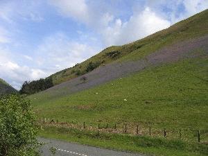 Hotel Buckley Arms Dinas Mawddwy Exterior foto